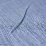 Tissu coton denim "Denim Prints" - Oekotex ® - AGF ® Art Gallery Fabrics ® - Tissus - 6