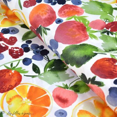 Tissu enduit ou laminé motif fruits - Multicolore - BIO - Cloud 9 ® Cloud9 Fabrics ® - Tissus BIO - 1