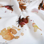 Tissu jersey coton motif papillons "Butterflies" - Blanc, tons ocre et marrons - Oeko-Tex ® Family Fabrics ® - Tissus oekotex - 