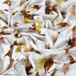 Tissu jersey coton motif papillons "Butterflies" - Blanc, tons ocre et marrons - Oeko-Tex ® Family Fabrics ® - Tissus oekotex - 