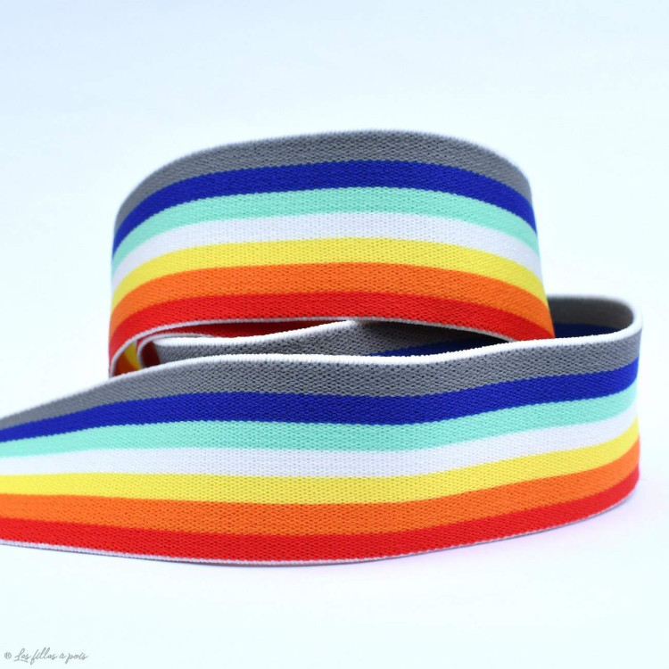 Elastique plat esprit Arc-en ciel - Multicolore - 40mm Autres marques - Tissus et mercerie - 1 Elastique plat esprit Arc-en ciel - Multicolore - 40mm Autres marques - Tissus et mercerie - 1