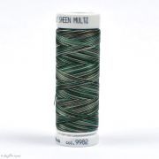 Fil à broder multicolore Polysheen 200m - Mettler ® - vert 9982 METTLER ® - Fils à coudre et à broder - 1
