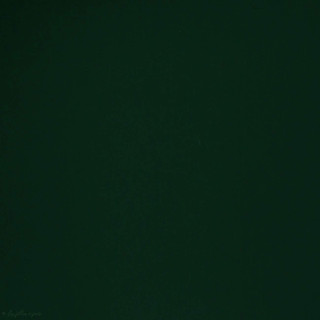 Flex thermocollant satiné / mat - Oekotex ®  - 18