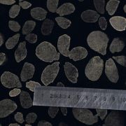 Tissu french terry motif fleurs "Mono Wood"- Tons marrons et noirs - BIO Autres marques - Tissus et mercerie - 4
