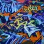 Tissu jersey sweat molletonné très chaud digital coton motif graffitis - Multicolore- Oekotex ® Autres marques - Tissus et merce