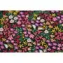 Tissu popeline de coton motif fleuri "The Flowers society" - Multicolore - Oekotex - AGF ® Art Gallery Fabrics ® - Tissus - 4
