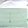 Panneau de popeline de coton rayures marinières collection "Little Sardine" - Blanc et vert - Les Filles à Pois ® - Oeko-Tex ® L
