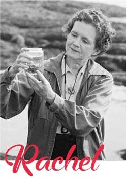 Rachel Carson, écologiste symbole féministe